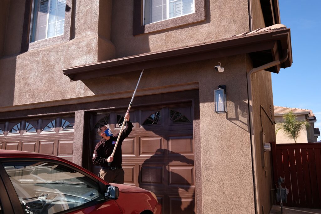 Termite-inspection-Pic-1024x683